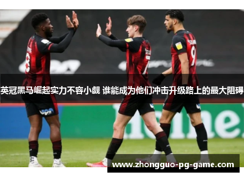英冠黑马崛起实力不容小觑 谁能成为他们冲击升级路上的最大阻碍 英冠黑马崛起实力不容小觑 谁能成为他们冲击升级路上的最大阻碍